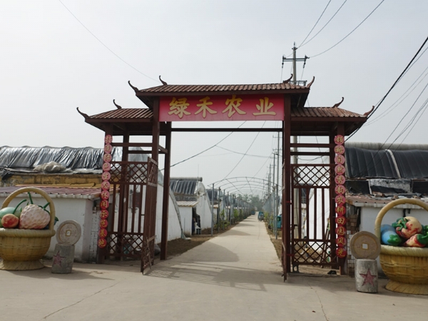 綠禾農(nóng)業(yè)